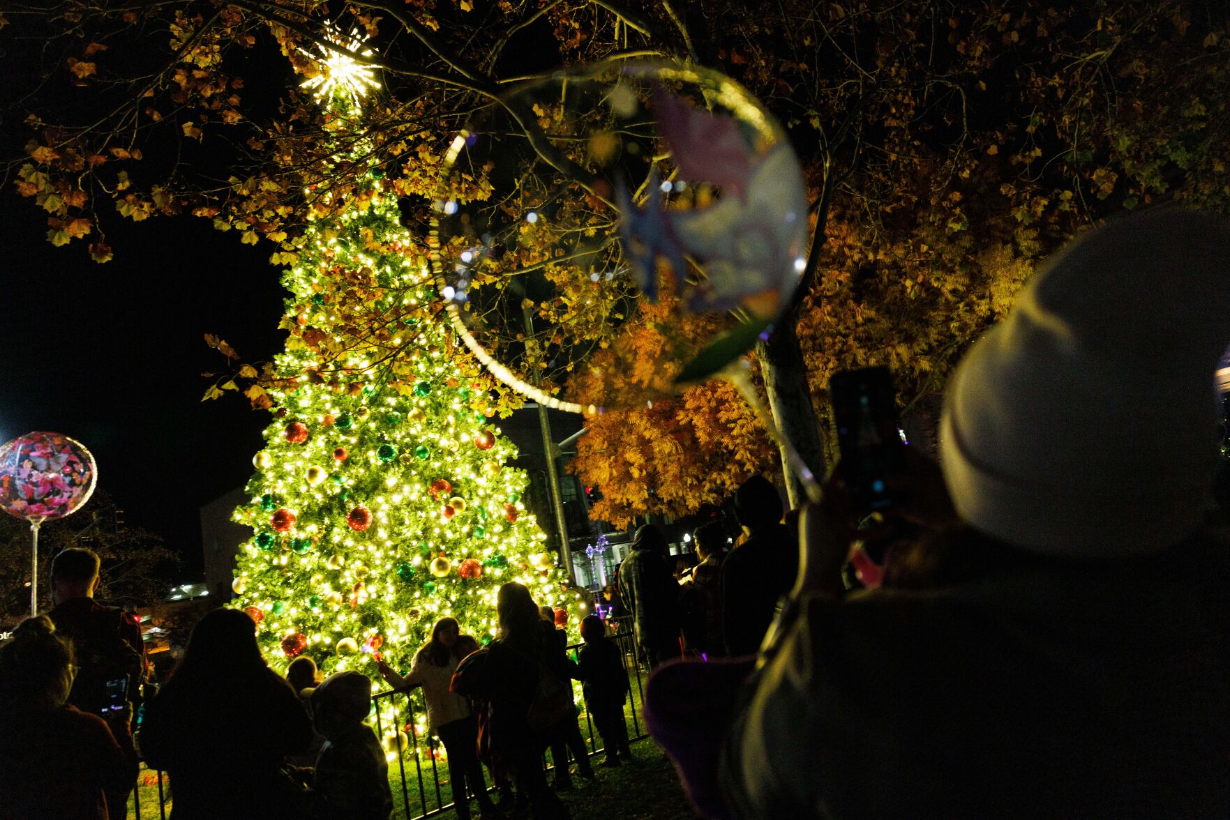 Tree Lighting